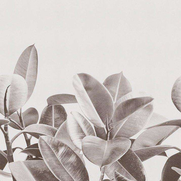Rubber Plant-behang-LondonArt-02-RAW-S120-Selected Wallpapers