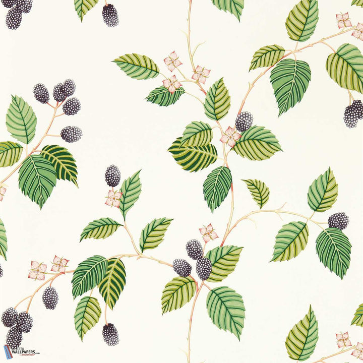 Rubus-Behang-Tapete-Sanderson-Blackberry-Rol-217227-Selected Wallpapers