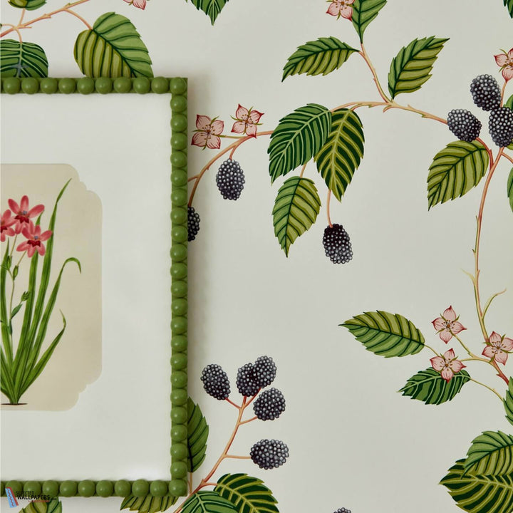 Rubus-Behang-Tapete-Sanderson-Selected Wallpapers