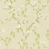 Sakura-behang-Little Greene-Pomme-Rol-0247SAPOMME-Selected Wallpapers