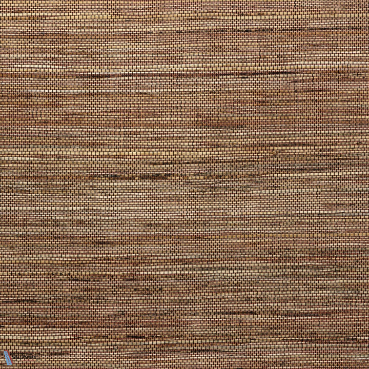Sambe-Behang-Tapete-Arte-Natural Spice-Meter (M1)-54553-Selected Wallpapers