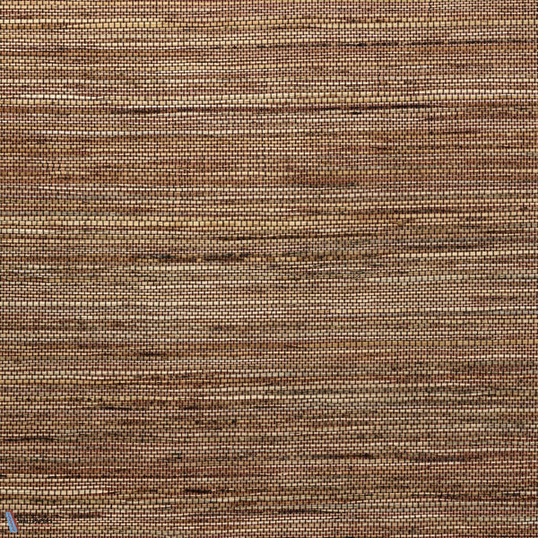 Sambe-Wallpaper-Arte-Natural Spice-Meter (M1)-54553-Selected Wallpapers