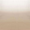 Saraille-behang-Designers Guild-Ecru-Set-P600/05-Selected Wallpapers