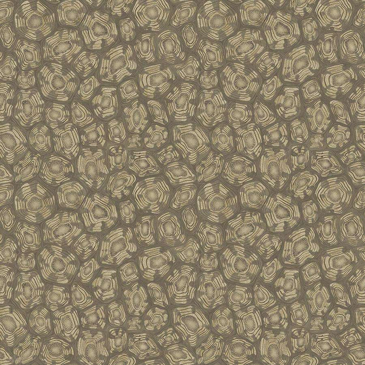 Savanna Shell-Behang-Tapete-Cole & Son-Cedar-Rol-119/4020-Selected Wallpapers