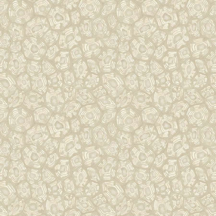 Savanna Shell-Behang-Tapete-Cole & Son-Linen-Rol-119/4021-Selected Wallpapers