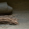 Seagrass-behang-Mark Alexander-Selected Wallpapers