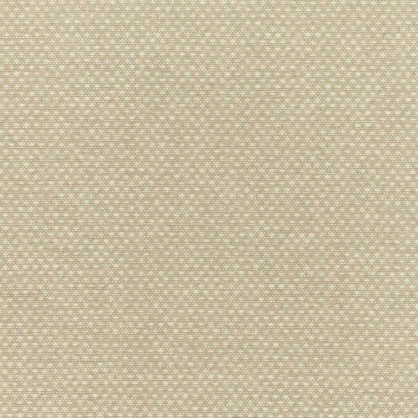 Shifu-behang-Mark Alexander-Parchment-Rol-MW112/06-Selected Wallpapers