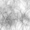 Silva-Behang-Glamora-1A-GlamDecor-HL121A-Selected Wallpapers