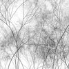 Silva-Behang-Glamora-1B-GlamDecor-HL121B-Selected Wallpapers