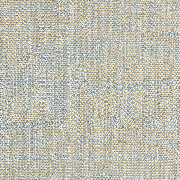 Silver RM 1008-Behang-Elitis-Riviere D'Argent-Meter (M1)-RM 1008 91-Selected Wallpapers