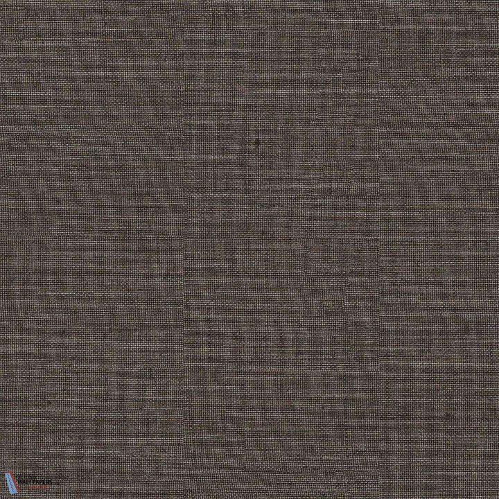 Sisal-behang-Tapete-Texam-300-Meter (M1)-co300-Selected Wallpapers