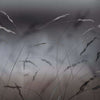Soffio-behang-Glamora-1B-GlamDecor-GLXI41B-Selected Wallpapers