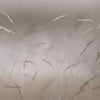 Soffio-behang-Glamora-2B-GlamDecor-GLXI42B-Selected Wallpapers