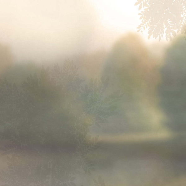 Soffuso-Behang-Glamora-2A-GlamDecor-GLXII532A-Selected Wallpapers