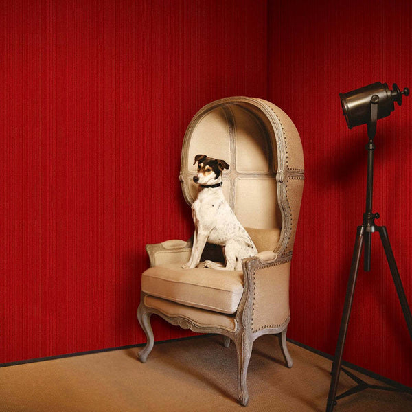 Soft Comfort Natural Palette-wallpaper-Greenland-Selected Wallpapers
