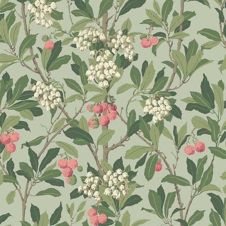 Strawberry Tree-Behang-Tapete-Cole & Son-Chalk Rose & Forest Green-Rol-100/10048-Selected Wallpapers