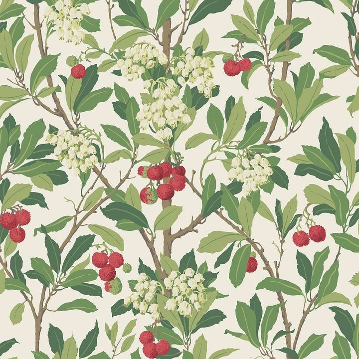 Strawberry Tree-Behang-Tapete-Cole & Son-Olive, Red & Leaf-Rol-100/10049-Selected Wallpapers