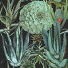 Succulentus-wallpaper-Mind the Gap-Anthracite-300 cm (standaard)-WP20167-Selected Wallpapers