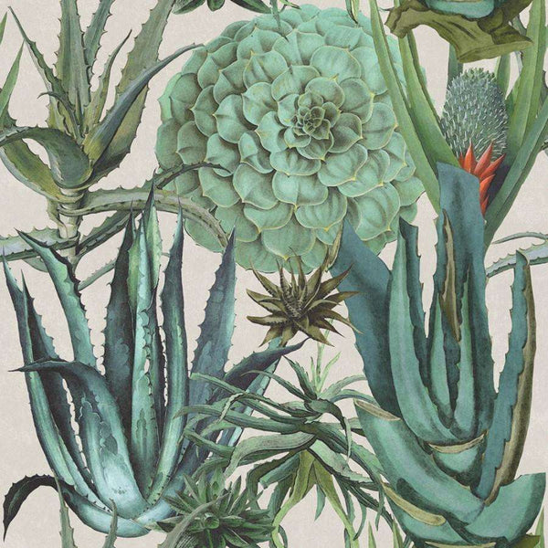 Succulentus-wallpaper-Mind the Gap-White-300 cm (standaard)-WP20168-Selected Wallpapers