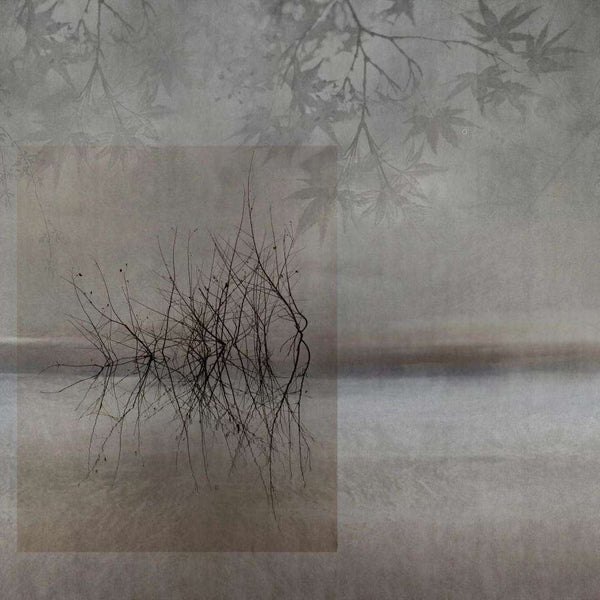 Sunrise-behang-Glamora-1A-GlamDecor-GLX781A-Selected Wallpapers