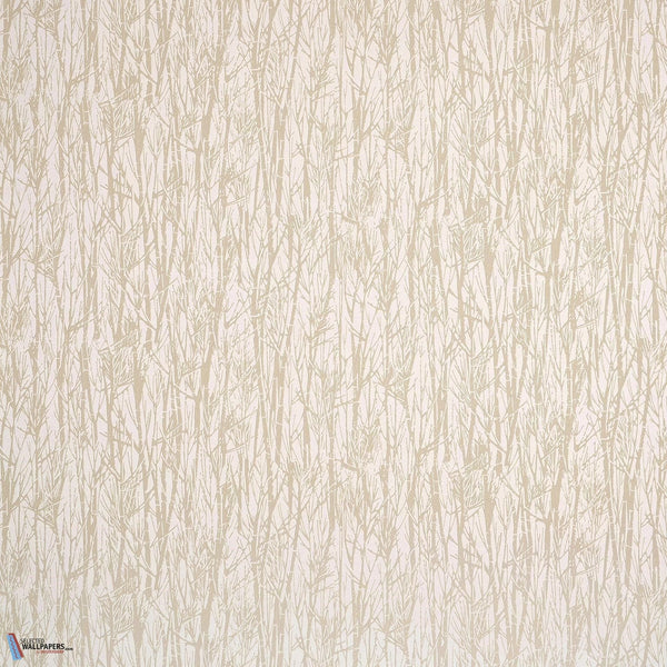 Sven-Behang-Pierre Frey-Sable-Meter (M1)-FP936002-Selected Wallpapers