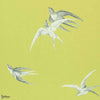 Swallows-wallpaper-Sanderson-Lime-Roll-DVIWSW101-Selected Wallpapers