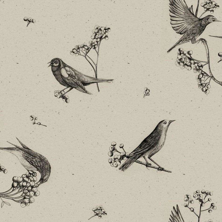 Sweet Birds-Behang-Tapete-Coordonne-Black-Rol-9500072-Selected Wallpapers