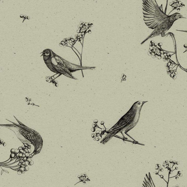 Sweet Birds-Behang-Tapete-Coordonne-Matcha-Rol-9500073-Selected Wallpapers