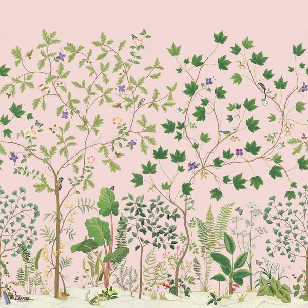 Sycamore and Oak-Wallpaper-Sanderson-Wild Rose-Roll-217213-Selected Wallpapers