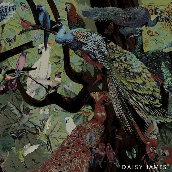 The Founding Feathers behang-behang-Daisy James-Color-Vinyl-M2-Selected Wallpapers & Interiors