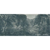 The Minstrel behang-behang-Daisy James-Selected Wallpapers & Interiors