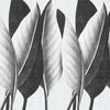 The Queen Re-Edition-Behang-LondonArt-03-RAW-S120-17501 03-Selected Wallpapers