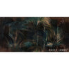 The Wash behang-behang-Daisy James-Selected Wallpapers & Interiors