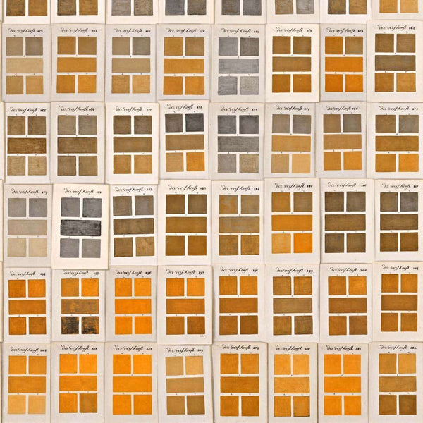 Traite Des Couleurs-behang-Mind the Gap-Bruin/Wit/Geel-300 cm (standaard)-WP20414-Selected Wallpapers