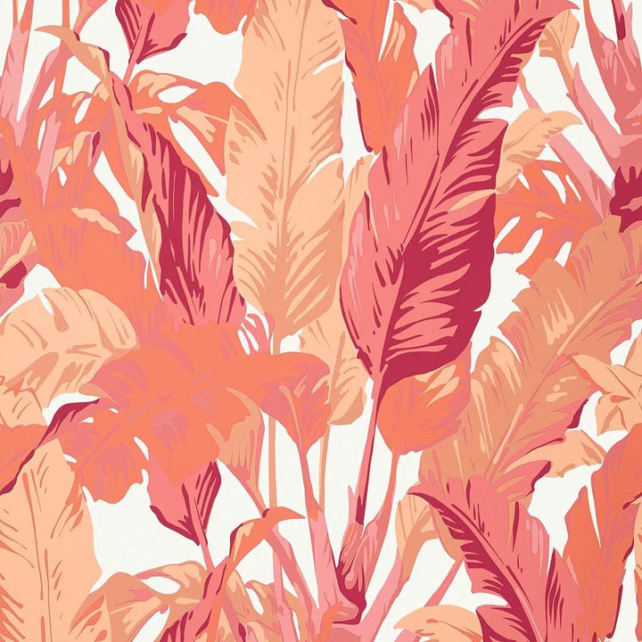 Travelers Palm-Behang-Tapete-Thibaut-Pink and Coral-Rol-T10130-Selected Wallpapers