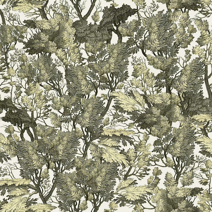 Tree Folliage-behang-Tapete-Mind the Gap-Groen-300 cm (standaard)-WP20481-Selected Wallpapers