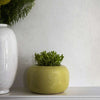 Trianon-Behang-Cole & Son-Selected Wallpapers