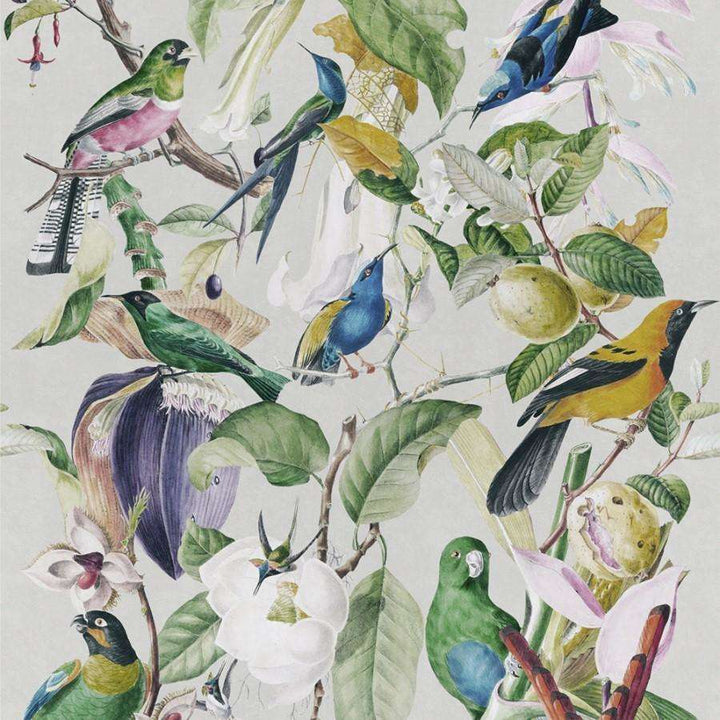 Tropical Birds-behang-Tapete-Mind the Gap-Multicolor-300 cm (standaard)-WP20172-Selected Wallpapers