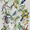 Tropical Birds-behang-Mind the Gap-Multicolor-300 cm (standaard)-WP20172-Selected Wallpapers