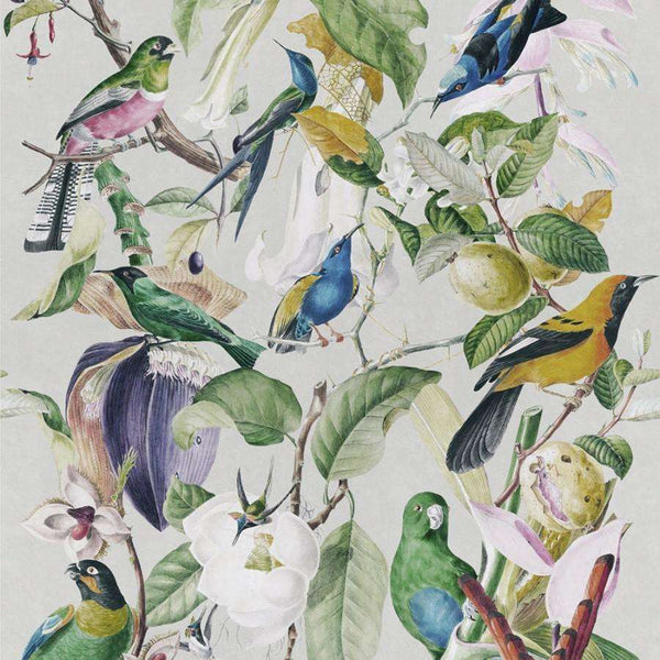 Tropical Birds-behang-Mind the Gap-Multicolor-300 cm (standaard)-WP20172-Selected Wallpapers