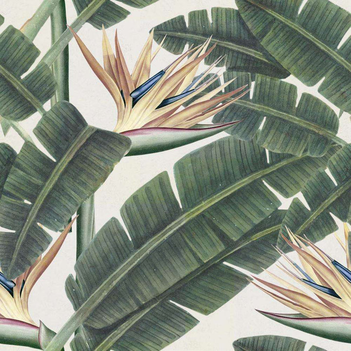 Tropical Bloom-behang-Tapete-Mind the Gap-Multicolor-300 cm (standaard)-WP20096-Selected Wallpapers