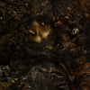 Ubuntu Forest-behang-Muance-11-Textured Vinyl-MU13011-Selected Wallpapers
