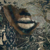 Ubuntu-behang-Muance-Brown-Vinyl-MU11004-Selected Wallpapers