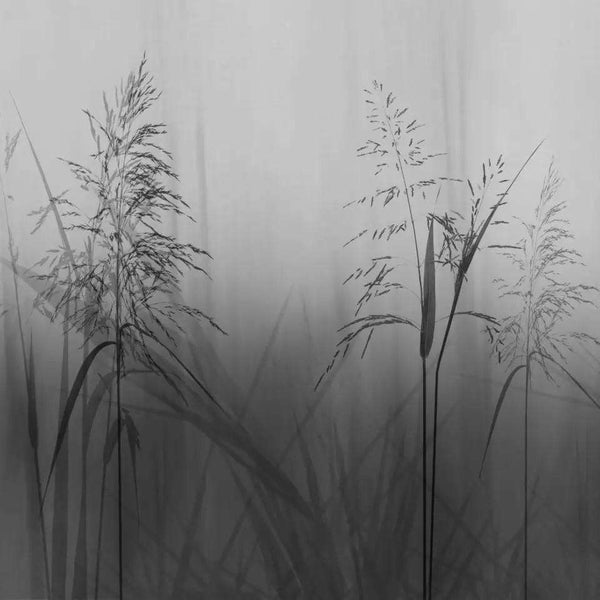 Whisper-behang-Glamora-2A-GlamFusion-GLF752A-Selected Wallpapers