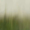 Whisper-behang-Glamora-1B-GlamFusion-GLF752B-Selected Wallpapers