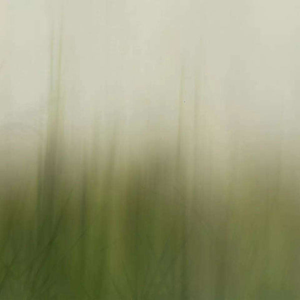 Whisper-behang-Glamora-1B-GlamFusion-GLF752B-Selected Wallpapers