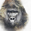 Wild-behang-Inkiostro Bianco-2-Vinyl 68 cm-INKLOML1802-Selected Wallpapers