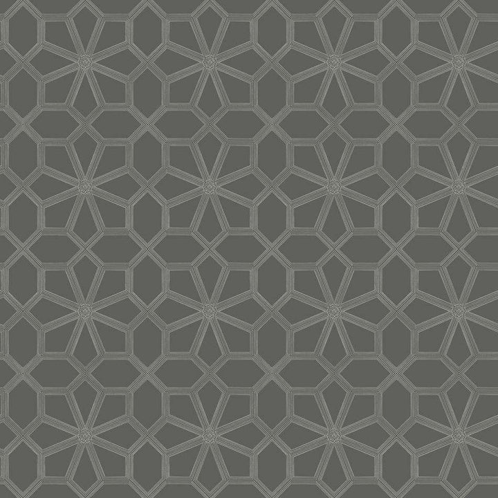 Wolsey Stars-behang-Tapete-Cole & Son-Chalk on Charcoal-Rol-118/16037-Selected Wallpapers