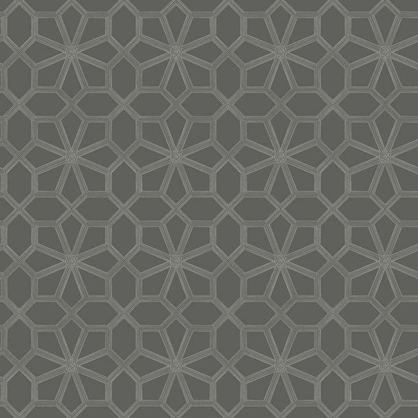 Wolsey Stars-behang-Cole & Son-Chalk on Charcoal-Rol-118/16037-Selected Wallpapers