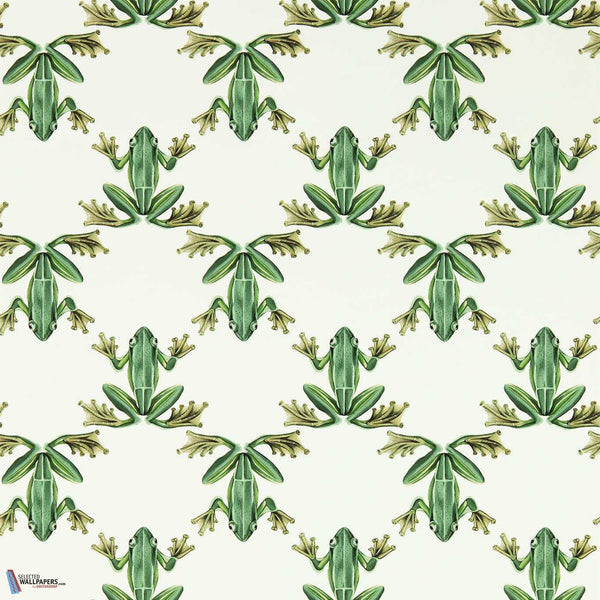 Wood Frog-behang-Harlequin-Forest/Chalk-Rol-113011-Selected Wallpapers